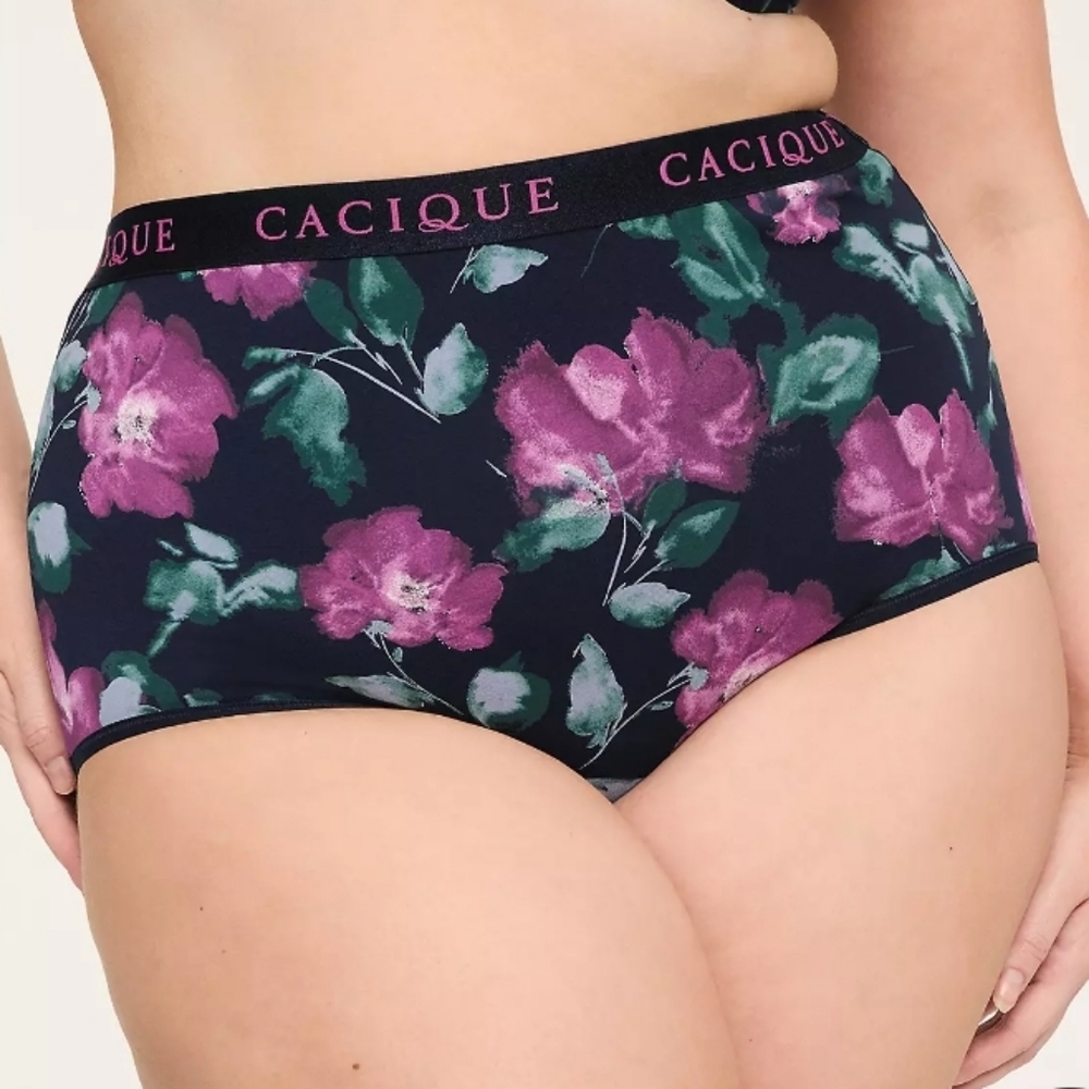 Cacique 18/20 Cotton High Waist Brief